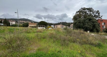 La Londe-les-Maures Terrain à bâtir - 2464628-10122annonce420260323OSE9a.jpeg Maisons Open