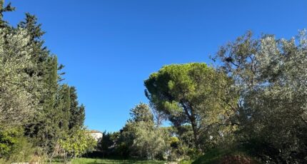 Éguilles Terrain à bâtir - 2464686-2699annonce120260323kNrpP.jpeg Maisons Open