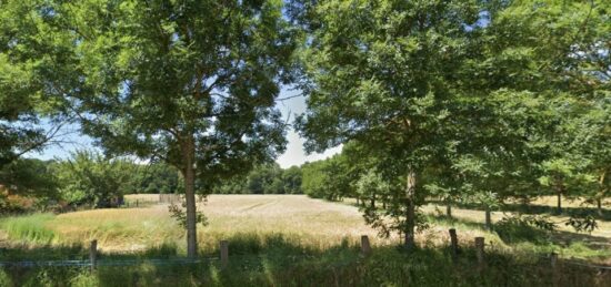 Terrain à bâtir à Nantouillet, Île-de-France
