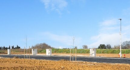 Le Cailar Terrain à bâtir - 2464946-3243annonce120260323cBtZN.jpeg Maisons Open