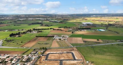 Le Cailar Terrain à bâtir - 2464946-3243annonce320260323WCwi0.jpeg Maisons Open