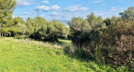 La Seyne-sur-Mer Terrain à bâtir - 2464825-4866annonce1202603237cHTs.jpeg Maisons Open