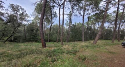 Suze-la-Rousse Terrain à bâtir - 2464538-812annonce220250618vWtun.jpeg Maisons Open