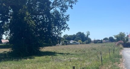 Médis Terrain à bâtir - 2465278-11452annonce220260324DZGog.jpeg Maisons Open