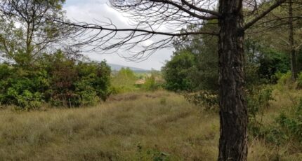 Carcassonne Terrain à bâtir - 2366344-11456annonce12025062075uXl.jpeg Maisons Open