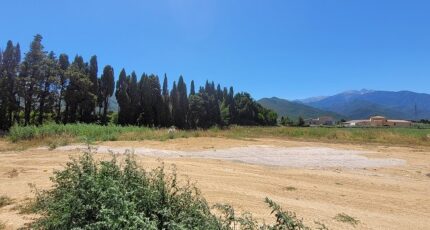 Ille-sur-Têt Terrain à bâtir - 2465422-4671annonce120260324Bslfe.jpeg Maisons Open