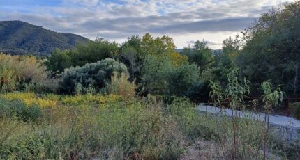 Ille-sur-Têt Terrain à bâtir - 2465402-4671annonce120260324HaPuV.jpeg Maisons Open