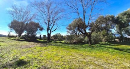 Tanneron Terrain à bâtir - 2465428-11719annonce120260324wFdf2.jpeg Maisons Open