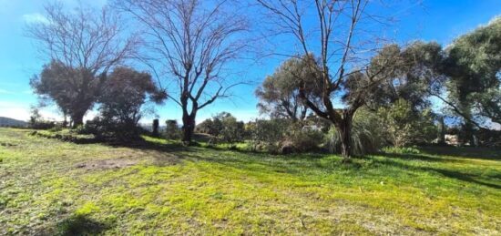 Terrain à bâtir à Tanneron, Provence-Alpes-Côte d'Azur