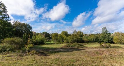 Saint-Avertin Terrain à bâtir - 2369040-10205annonce1202504179VT9l.jpeg Maisons Open