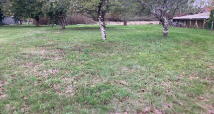 Coutras Terrain à bâtir - 2466174-11367annonce120260324SLFsT.jpeg Maisons Open