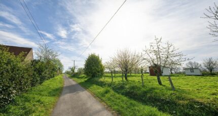 Celon Terrain à bâtir - 2466314-787annonce1202603247cvA3.jpeg Maisons Open