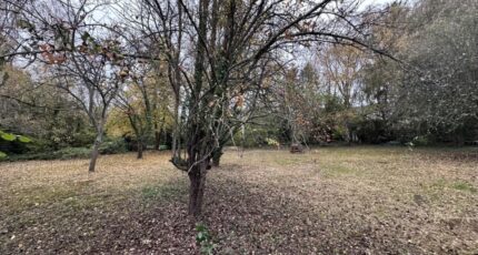 Gouvieux Terrain à bâtir - 2465072-11767annonce220260323shfXU.jpeg Maisons Open