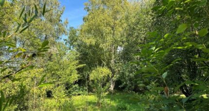 Gouvieux Terrain à bâtir - 2465072-11767annonce320260323sH8GZ.jpeg Maisons Open