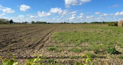 Locon Terrain à bâtir - 2466295-5804annonce120260324X3W7g.jpeg Maisons Open