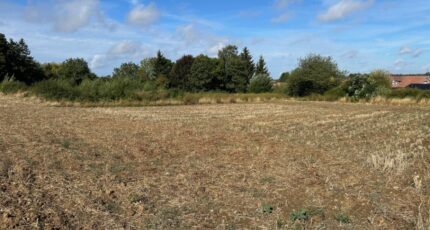 Calonne-Ricouart Terrain à bâtir - 2466322-5804annonce120260324PDlwF.jpeg Maisons Open