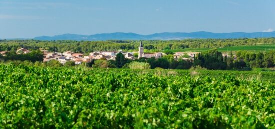 Terrain à bâtir à Pinet, Occitanie
