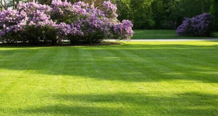 Fabas Terrain à bâtir - 2465083-3925annonce120260323pI8t3.jpeg Maisons Open