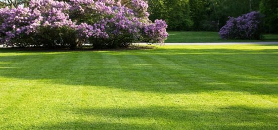 Terrain à bâtir à Fabas, Occitanie