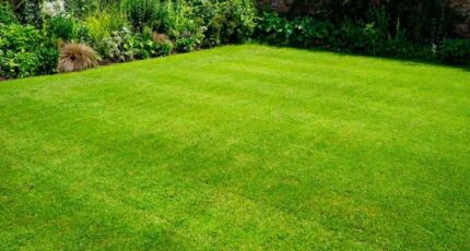 Campsas Terrain à bâtir - 2465091-3925annonce120260323DXmUC.jpeg Maisons Open