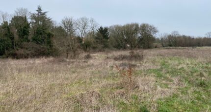 Pont-l'Abbé-d'Arnoult Terrain à bâtir - 2466480-11194annonce320260325IxrTP.jpeg Maisons Open