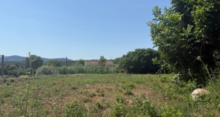 Carnoules Terrain à bâtir - 2466575-11136annonce120260325mbExW.jpeg Maisons Open