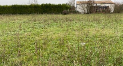 Champagne Terrain à bâtir - 2466557-11194annonce220260325Kzyud.jpeg Maisons Open