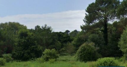 Messanges Terrain à bâtir - 2466948-5828annonce120250617RAkyu.jpeg Maisons Open