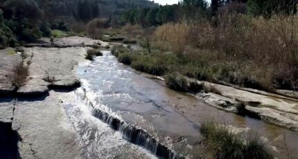 Saint-Laurent-de-la-Cabrerisse Terrain à bâtir - 2466597-665annonce220260325QpXkV.jpeg Maisons Open