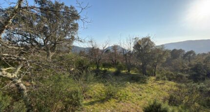 Bagnols-en-Forêt Terrain à bâtir - 2467298-5826annonce220260325WopkO.jpeg Maisons Open