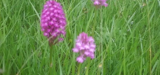 Terrain à bâtir à Saint-Germain-sur-Avre, Normandie