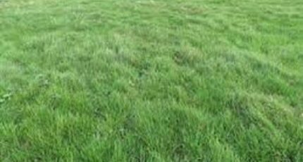 Salins Terrain à bâtir - 2461345-1635annonce120260319yJ6eh.jpeg Maisons Open