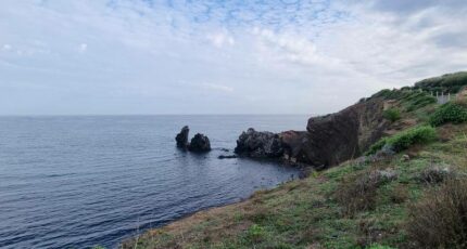 Agde Terrain à bâtir - 2467995-11018annonce3202603262i5KA.jpeg Maisons Open