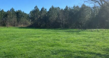 Salles Terrain à bâtir - 2468296-11151annonce1202603266Mu83.jpeg Maisons Open