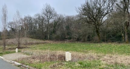 Saint-Médard-en-Jalles Terrain à bâtir - 2468494-11689annonce120260326K8Fah.jpeg Maisons Open