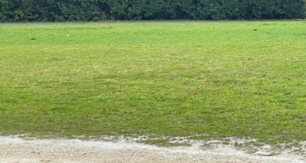 Saint-Médard-en-Jalles Terrain à bâtir - 2468549-11689annonce120260326nytdH.jpeg Maisons Open