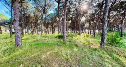 Carnoules Terrain à bâtir - 2468493-9707annonce2202603265Vz2x.jpeg Maisons Open