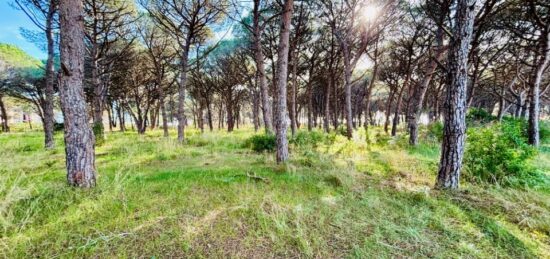 Terrain à bâtir à , Var
