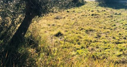 Carnoules Terrain à bâtir - 2468493-9707annonce320260326NZJQN.jpeg Maisons Open