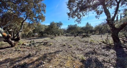 Cucuron Terrain à bâtir - 2468488-7050annonce220260326fBqld.jpeg Maisons Open