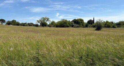 Montpitol Terrain à bâtir - 2466786-11356annonce420260325aseTp.jpeg Maisons Open