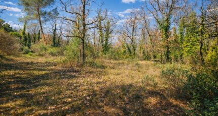 Saint-Cézaire-sur-Siagne Terrain à bâtir - 2468906-11719annonce120260326dcCsv.jpeg Maisons Open