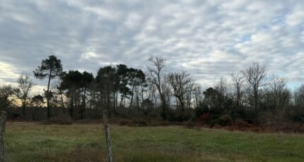 Balizac Terrain à bâtir - 2468509-10677annonce1202603263fglK.jpeg Maisons Open