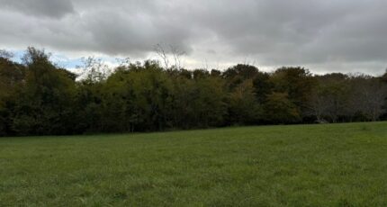 Saint-Exupéry Terrain à bâtir - 2468557-10677annonce120260326QPMTn.jpeg Maisons Open