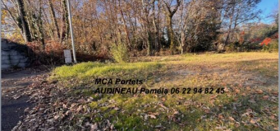 Terrain à bâtir à Landiras, Nouvelle-Aquitaine