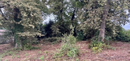 Terrain à bâtir à , Gironde