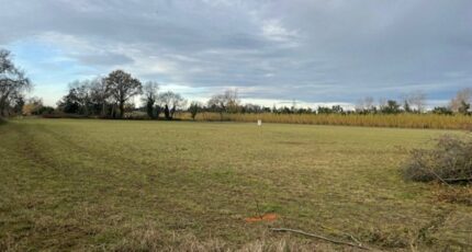 Saint-Martin-de-Crau Terrain à bâtir - 2371855-3969annonce320251218eE8eU.jpeg Maisons Open