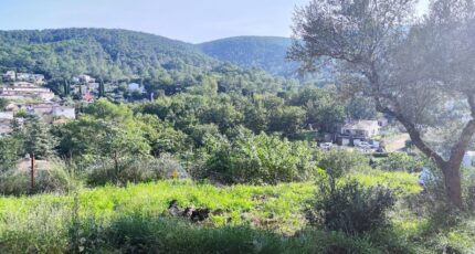 Solliès-Toucas Terrain à bâtir - 2469067-11039annonce120260327ReHgQ.jpeg Maisons Open