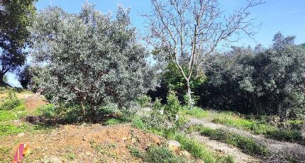 Solliès-Toucas Terrain à bâtir - 2469067-11039annonce3202603277zbKa.jpeg Maisons Open