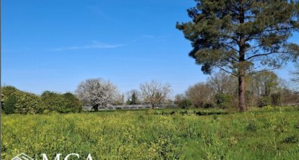 Saint-Pierre-d'Eyraud Terrain à bâtir - 2469264-11103annonce1202603279AoIl.jpeg Maisons Open